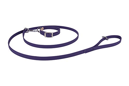 Francisco Romero 8436586342364 Pack Kette Beta und Band, 1.6 x 45 cm, Violett Francisco Romero 8436586342364 Pack Kette Beta und Band, 1.6 x 45 cm, Violett von Francisco Romero