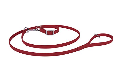 Francisco Romero 8436586342449 Pack Kette Beta und Band, 1.6 x 50 cm, Rot Francisco Romero 8436586342449 Pack Kette Beta und Band, 1.6 x 50 cm, Rot von Francisco Romero