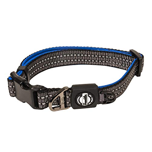 Franklin Pet Supply Nylon Dog Collar – Reflective Co™ – Comfort Fit – Neoprene – Adjustable – Medium – Blue von Franklin Sports