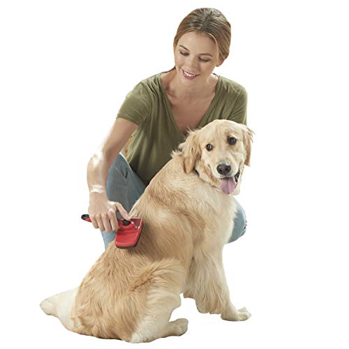 Franklin Pet Supply Shed-Master Hundebürste - Kurzhaar - Enthaarung Hunde - Haarausfall reduzieren - Selbstreinigung von Franklin Sports