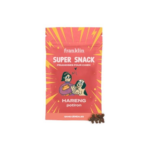 FRANKLIN Hundeleckerli – Snack Hering & Kürbis – ohne Getreide – kalorienarm – reich an Protein – erleichtert die Verdauung – unterstützt die Gelenke – Für jedes Alter – 100 g von Franklin