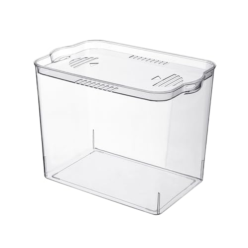 Beginner Fischtank, transparent, stapelbar, kompakt, platzsparendes Design, Mehrzweck-Wasserwohnung, kleine Wasserschale, ideal für dekorative Shrimp-Turtles & Wasser-Display Beginner Fischtank, transparent, stapelbar, kompakt, platzsparendes Design, Mehrzweck-Wasserwohnung, kleine Wasserschale, ideal für dekorative Shrimp-Turtles & Wasser-Display von Fravsiu