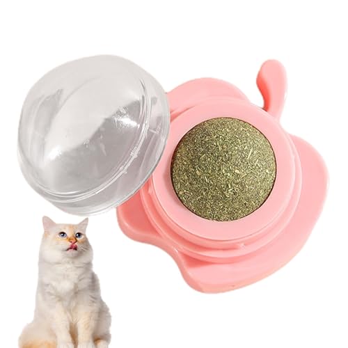 Fravsiu Leckereien für Katzen, Katzenminze-Bälle, Katzenminze-Leckball | Katzen lecken Kätzchen kauen - Katzen-Wanddekoration, Kätzchen Spielen, Kauen, Zähne putzen, Spielzeug, Katzenminze, Fravsiu Leckereien für Katzen, Katzenminze-Bälle, Katzenminze-Leckball | Katzen lecken Kätzchen kauen - Katzen-Wanddekoration, Kätzchen Spielen, Kauen, Zähne putzen, Spielzeug, Katzenminze, von Fravsiu