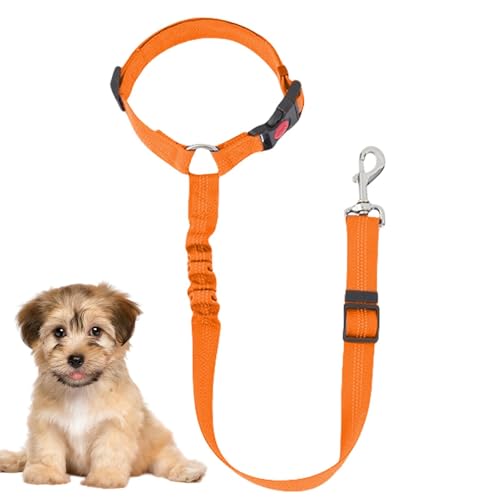 Fravsiu Sicherheitsgurt für Hunde für Auto, Zugseil für Haustiere | Sicherheitsgurt mit Zugseil für Hunde und Haustiere - Hundeleinen Fravsiu Sicherheitsgurt für Hunde für Auto, Zugseil für Haustiere | Sicherheitsgurt mit Zugseil für Hunde und Haustiere - Hundeleinen von Fravsiu