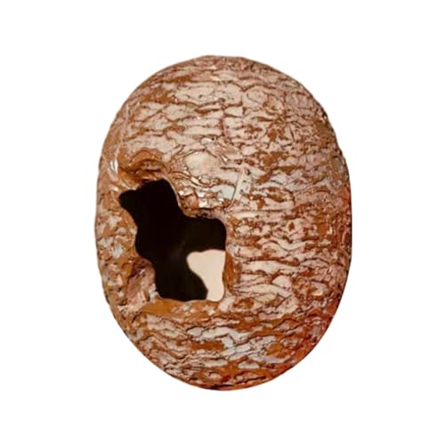 Reptile Hide Decoration, Dinosaur Egg Hide, Textured Realistic Part, View and Burrowing Spot, Gecko Shelter for Garden, Terrarium, Bedroom, Corner, Breeding, Room Setup, Harz, 3,15 x 4,33 Zoll Reptile Hide Decoration, Dinosaur Egg Hide, Textured Realistic Part, View and Burrowing Spot, Gecko Shelter for Garden, Terrarium, Bedroom, Corner, Breeding, Room Setup, Harz, 3,15 x 4,33 Zoll von Fravsiu