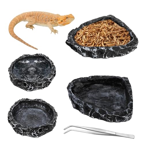 Frcctre 4 Stück Reptilien-Futternapf, Reptilien-Futternapf, Wassernapf, Amphibien-Reptilien-Futternapf, Breadworm-Futter-Terrarium, Schüssel für Leopard, Gecko, Eidechse, Schildkröte, Frosch, Frcctre 4 Stück Reptilien-Futternapf, Reptilien-Futternapf, Wassernapf, Amphibien-Reptilien-Futternapf, Breadworm-Futter-Terrarium, Schüssel für Leopard, Gecko, Eidechse, Schildkröte, Frosch, von Frcctre