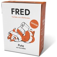 Fred & Felia FRED JUNIOR Pute mit Kartoffeln (10x390g) von Fred & Felia