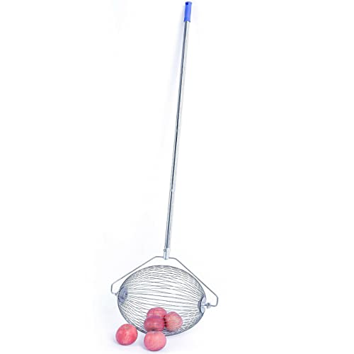 Edelstahl Rollsammler, 145 cm Haselnuss-Sammler, Apfelsammler Fallobstsammler Obstsammler Nusssammler | Ideal auch als Greifer für Golfbälle, Tennisbälle Edelstahl Rollsammler, 145 cm Haselnuss-Sammler, Apfelsammler Fallobstsammler Obstsammler Nusssammler | Ideal auch als Greifer für Golfbälle, Tennisbälle von Frederimo