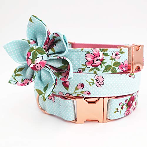 Free Sunday Cute Dog Collar, Girl Dog Collar with Blue Floral Design Adjustable with Rose Gold Slide Release Buckle, New Puppy Gifts (S) von Free Sunday