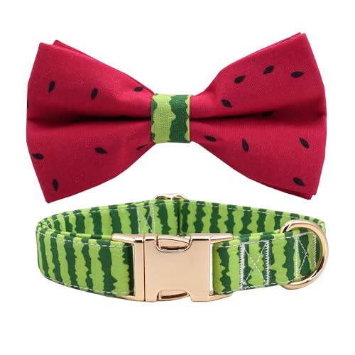 Hundehalsband mit Wassermelonensamen, Schleife, Sommerstoff, modisches Hundehalsband mit Fliege von Free Sunday