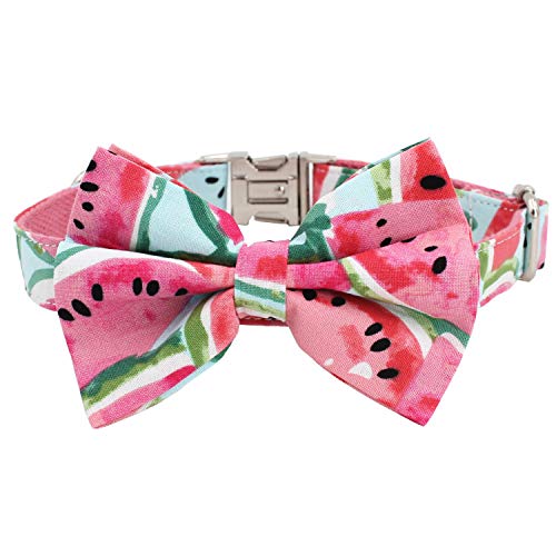 Rosa Wassermelone Hundehalsband mit Fliege, Frühling oder Sommer Girly Hundehalsband und Fliege, Welpenhalsband mit Schleife von Free Sunday
