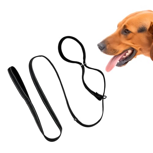 Hundeleine – 8 Anti-Pull-Trainingsleine für Hunde, verstellbar, 2,5 x 180 cm, Nylon, lange Leine, kein Ziehen, rutschfestes Seil, reflektierende und langlebige Hundeleine für kleine, mittelgroße und Hundeleine – 8 Anti-Pull-Trainingsleine für Hunde, verstellbar, 2,5 x 180 cm, Nylon, lange Leine, kein Ziehen, rutschfestes Seil, reflektierende und langlebige Hundeleine für kleine, mittelgroße und von FreeSkill