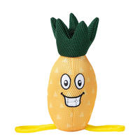 FREEDOG Mesh-Wasserspielzeug Ananas und Melone [Ananas] von Freedog Import SL