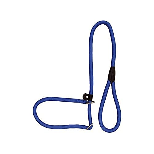 Blauer runder Nylon-Doppelband (10mmx120cm) Frisionog von Freedog
