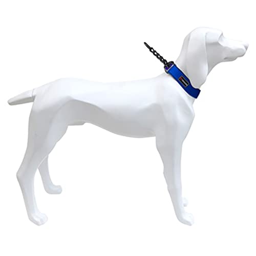 Freedog Hundehalsband, Pistolenhalsband, blau, 2 x 35-43 cm von Freedog