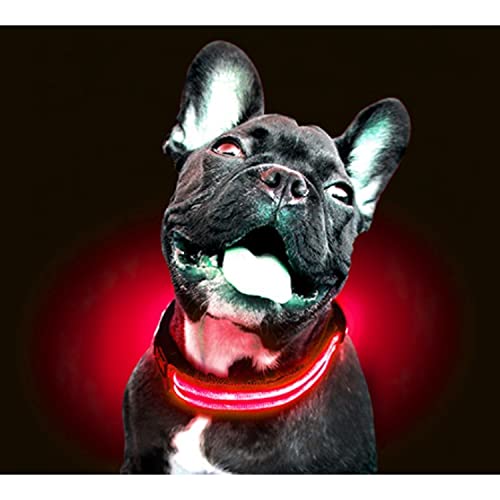 Collar LED Con Pilas Rojo XS 35-43 cm von Freedog