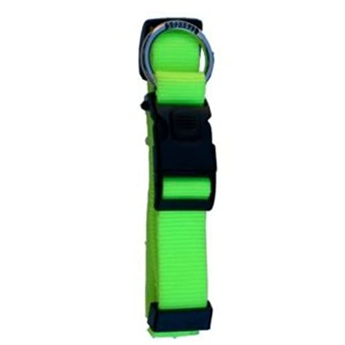 Collar Nylon Neon Verde Fluor 20 mm von Freedog