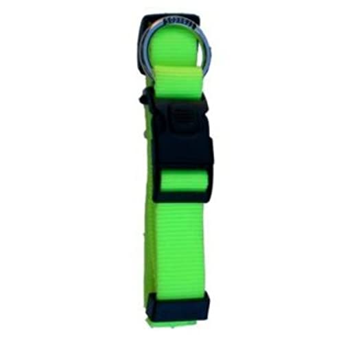 Collar Nylon Neon Verde Fluor 25 mm von Freedog