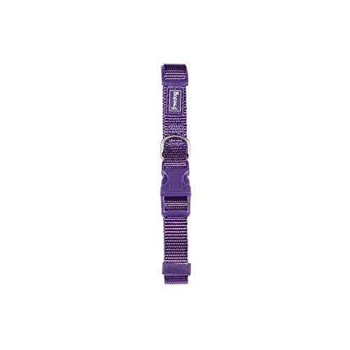 Freedog Halskette Nylon Hund 20 mm, violett von Freedog