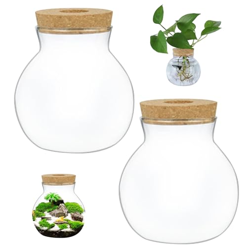 Terrariumglas, 2pcs transparentes rundes Glas Terrarium, Kaliber 2, 6 Zoll Landschaftsgläser mit Korkdeckel, DIY -Pflanz Terrariumglas, 2pcs transparentes rundes Glas Terrarium, Kaliber 2, 6 Zoll Landschaftsgläser mit Korkdeckel, DIY -Pflanz von Freiwncr