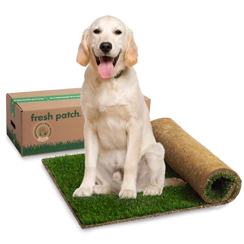 Real Grass Training Sod (61 x 121,9 cm) von Fresh Patch
