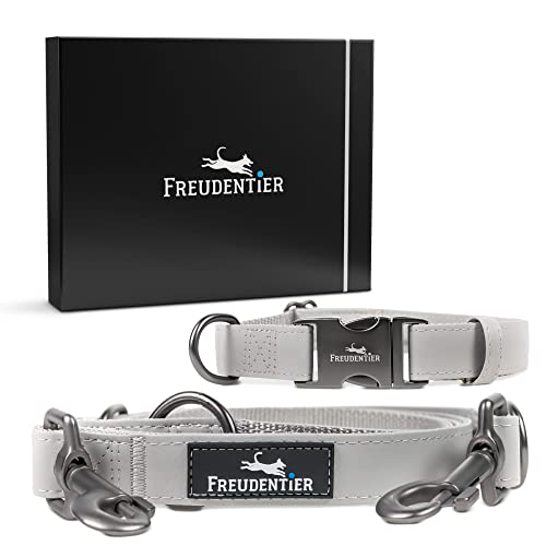 FREUDENTIER® Hundeleine (2m) und Hundehalsband aus veganem Leder im Set, edle Geschenkbox, 3-Fach verstellbare Führleine, pflegeleicht & Winterfest (30-40cm) von FREUDENTIER