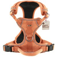 Freudentier Hundegeschirr mit Mesh-Polsterung XL von Freudentier