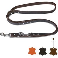 Freudentier Hundeleine aus zertifiziertem Leder 2m, verstellbare Führleine, Alsterufer Kollektion braun 2 cm Freudentier Hundeleine aus zertifiziertem Leder 2m, verstellbare Führleine, Alsterufer Kollektion braun 2 cm von Freudentier