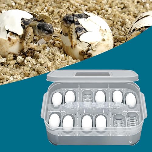 Eierbrutkasten | 12 Gitter Gecko Zuchtbox | Eier Vollautomatische Geflügelbrutmaschine | Automatischer Eierwender, Luftbefeuchter, 360-Grad-Ansicht zum Schlüpfen von Chincken, Wachteln, Truthahn, Eierbrutkasten | 12 Gitter Gecko Zuchtbox | Eier Vollautomatische Geflügelbrutmaschine | Automatischer Eierwender, Luftbefeuchter, 360-Grad-Ansicht zum Schlüpfen von Chincken, Wachteln, Truthahn, von Frfik