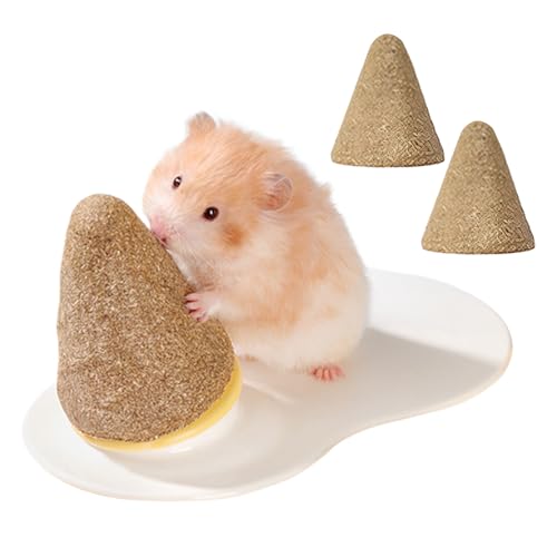 Frfik Frettchen Bett | Kühle Matte Keramik Hamsterhaus Nest | Konische Kühlmatte Kau Spielzeug mit Knabberstäbchen, Kleintierbedarf Ruhelandschaft Frfik Frettchen Bett | Kühle Matte Keramik Hamsterhaus Nest | Konische Kühlmatte Kau Spielzeug mit Knabberstäbchen, Kleintierbedarf Ruhelandschaft von Frfik