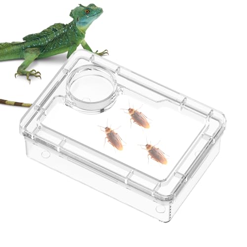 Frfik -Futterstation | Anti-Fluchtschale mit Haube, Gecko, Futterspender für Kleintiere, Spinnen, Eidechsen, Schildkröten, Käfig, Tank, , Lebensraum, Terrarium, Schlange Frfik -Futterstation | Anti-Fluchtschale mit Haube, Gecko, Futterspender für Kleintiere, Spinnen, Eidechsen, Schildkröten, Käfig, Tank, , Lebensraum, Terrarium, Schlange von Frfik