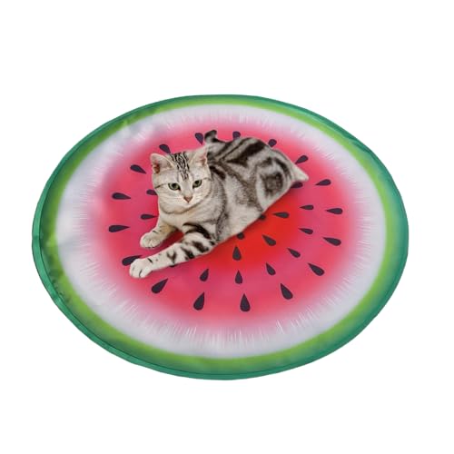 Frfik Haustier Kühlmatte - Atmungsaktive Kühlmatte für Haustierschlaf,Wiederverwendbare Liegefläche Für Reisen, Zuhause & Bei Für Kleine Tiere Frfik Haustier Kühlmatte - Atmungsaktive Kühlmatte für Haustierschlaf,Wiederverwendbare Liegefläche Für Reisen, Zuhause & Bei Für Kleine Tiere von Frfik