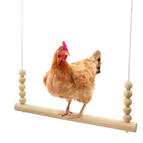 Frfik Hühnerschaukel,Naturholz Sitzstange Für Hühner - Sitzstange Leiter Stabil Sicher Zum Ausruhen Für Hühner Bauernhof Garten Frfik Hühnerschaukel,Naturholz Sitzstange Für Hühner - Sitzstange Leiter Stabil Sicher Zum Ausruhen Für Hühner Bauernhof Garten von Frfik