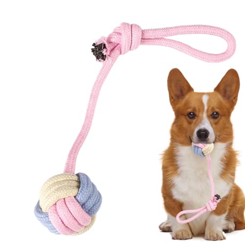 Frfik Hundeseilball,Hundeseilball-Schlepperspielzeug | Kauwattebällchen | Kauende Wattebäusche für Kauer, Knotenball-Seilspielzeug für Hunde, zahnendes Kaubaumwollspielzeug für Hunde zur Zahnreinigung Frfik Hundeseilball,Hundeseilball-Schlepperspielzeug | Kauwattebällchen | Kauende Wattebäusche für Kauer, Knotenball-Seilspielzeug für Hunde, zahnendes Kaubaumwollspielzeug für Hunde zur Zahnreinigung von Frfik