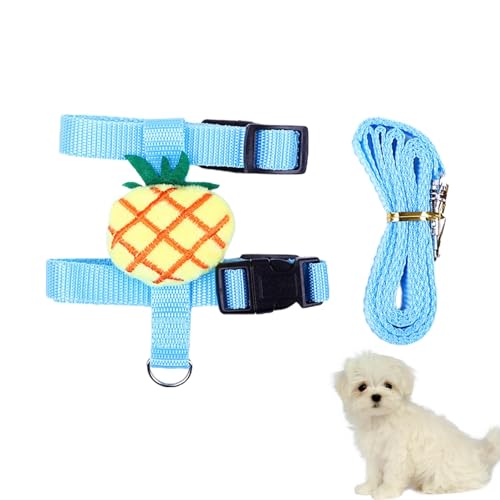 Kaninchenleine, starke Leine, niedliche Cartoon-Weste, Hundeleine, Trainingsleine, Set für Outdoor-Hunde, Haustierbedarf, Hundegeschirr, Hundebekleidung, Zubehör für Katzen, Welpen Kaninchenleine, starke Leine, niedliche Cartoon-Weste, Hundeleine, Trainingsleine, Set für Outdoor-Hunde, Haustierbedarf, Hundegeschirr, Hundebekleidung, Zubehör für Katzen, Welpen von Frfik