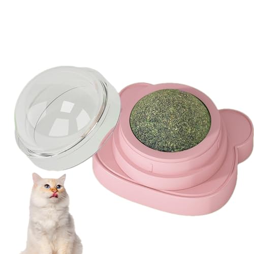 Katzenminze Spielzeug Bälle | Drehbares Kätzchen Wandspielzeug Katzenminze Bälle | Polygonumm Aviculare Gallbälle, Katze Lecken Spielzeug Katzenminze Ball, Rotierende Lecken Katzenminze Bälle, Katzenminze Spielzeug Bälle | Drehbares Kätzchen Wandspielzeug Katzenminze Bälle | Polygonumm Aviculare Gallbälle, Katze Lecken Spielzeug Katzenminze Ball, Rotierende Lecken Katzenminze Bälle, von Frfik