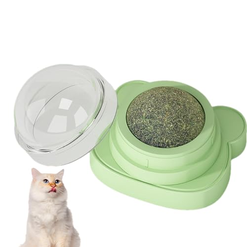 Katzenminze Spielzeug Bälle | Drehbares Kätzchen Wandspielzeug Katzenminze Bälle | Polygonumm Aviculare Gallbälle, Katze Lecken Spielzeug Katzenminze Ball, Rotierende Lecken Katzenminze Bälle, Katzenminze Spielzeug Bälle | Drehbares Kätzchen Wandspielzeug Katzenminze Bälle | Polygonumm Aviculare Gallbälle, Katze Lecken Spielzeug Katzenminze Ball, Rotierende Lecken Katzenminze Bälle, von Frfik