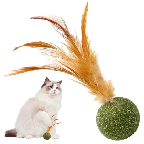 Magic Cat Balls | Katzenspielzeug Katzenminze | Essbarer Katzenminze Federball | Katzenspielzeug für Katzen Lecken | Sicheres gesundes Kätzchen-Kauspielzeug | Zahnreinigung Katzenspielzeug | Magic Cat Balls | Katzenspielzeug Katzenminze | Essbarer Katzenminze Federball | Katzenspielzeug für Katzen Lecken | Sicheres gesundes Kätzchen-Kauspielzeug | Zahnreinigung Katzenspielzeug | von Frfik