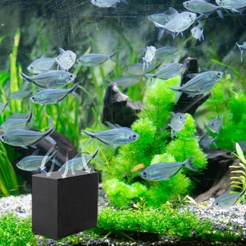 Purifier Cube, Aquarium Cube Filter, Water Purifying Cube, Activated Carbon Water Purifier Cube, Fish Tank Purifier Cube, Water Trough Purifier Cube for Aquarium, Ponds, Fish Tank, Water Tank Purifier Cube, Aquarium Cube Filter, Water Purifying Cube, Activated Carbon Water Purifier Cube, Fish Tank Purifier Cube, Water Trough Purifier Cube for Aquarium, Ponds, Fish Tank, Water Tank von Frfik