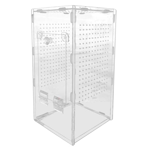 Terrarium Für Springspinnen Tiere | 11.81 Zoll Acryl Spinnen Box Transparent | 800g Belüftetes Habitat Für Reptilien Und Vogelspinnen | Kleintierbehälter Für Heimstudien Haltung Dekozwecke Terrarium Für Springspinnen Tiere | 11.81 Zoll Acryl Spinnen Box Transparent | 800g Belüftetes Habitat Für Reptilien Und Vogelspinnen | Kleintierbehälter Für Heimstudien Haltung Dekozwecke von Frfik