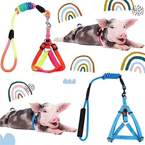 Frienda 2-stück verstellbares Mini-Schweinengeschirr, Leine, für Schwein, Kaninchen, Hund, Katze, Frettchen und andere kleine Tiere, Training, Joggen, Langlebig zu verwenden, Bunt, Gestreift, Small Frienda 2-stück verstellbares Mini-Schweinengeschirr, Leine, für Schwein, Kaninchen, Hund, Katze, Frettchen und andere kleine Tiere, Training, Joggen, Langlebig zu verwenden, Bunt, Gestreift, Small von Frienda