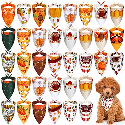 Frienda Hundehalstücher zum Valentinstag, Hundehalstuch, verstellbar, für kleine, mittelgroße Hunde, Katzen, Haustiere (Kürbis), 20 Stück von Frienda