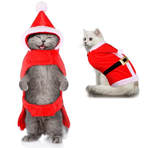 Katzen Weihnachten Kostüm Weihnachten Weihnachtsmann Katzenkleidung Verstellbares Bauch Katzen Kostüm Weiche Rote und Weiße Katzenkleidung Indoor Kostüm mit Gürtel und Hut Haustierbedarf von Frienda