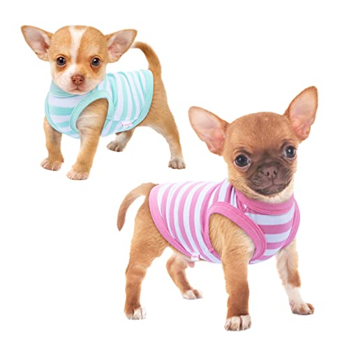Frienperro Hunde-Halloween-Shirt, 2er-Pack, Hundekleidung für kleine Hunde, Mädchen, Jungen, atmungsaktiv, gestreift, Chihuahua-Kleidung, Halloween-Hundekostüme, Welpen, Kleidung, Outfit, Katze, von Frienperro