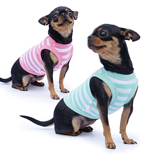 Frienperro Hunde-Shirt, 2er-Pack, Hundekleidung für kleine Hunde, Mädchen, Jungen, atmungsaktive Baumwolle, gestreift, Chihuahua-Kleidung, ärmellos, für kleine Haustiere, Welpen, Kleidung, Outfit, von Frienperro
