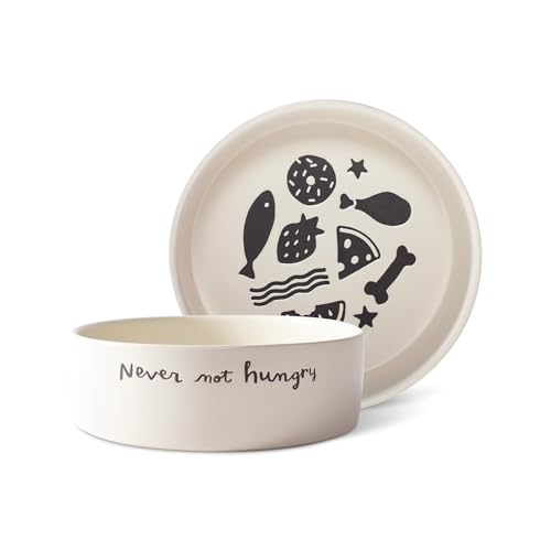 Fringe Studio 474505 Futternapf aus Keramik, mit Aufschrift "Never Not Hungry", mittelgroß, wachsbeständig, 16,5 cm Durchmesser x 6,3 cm Höhe, 91 ml von Fringe