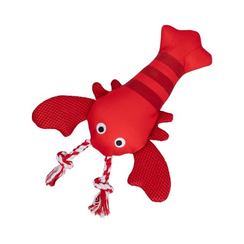 Fringe Studio Floating Dog Toy with Rope Feeling Claw-Some, Pet Shop Collection (640027) von Fringe
