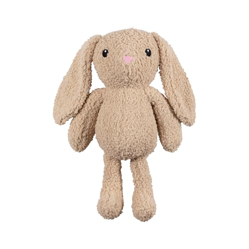 Fringe Studio Large Plush Dog Toy, Hoppy to See You, Pet Shop Collection (728034) von Fringe