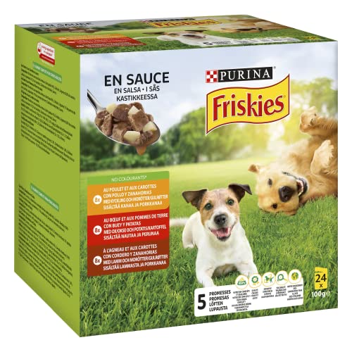 FRISKIES Fleisch- und Gemüsesaucen – 24 x 100 g – Dosen für ausgewachsene Hunde von Friskies