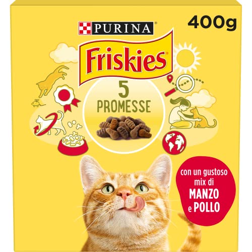 Purina Friskies Katzenfutter für Erwachsene mit Rindfleisch und Huhn, 20 Packungen à 400 g von Friskies